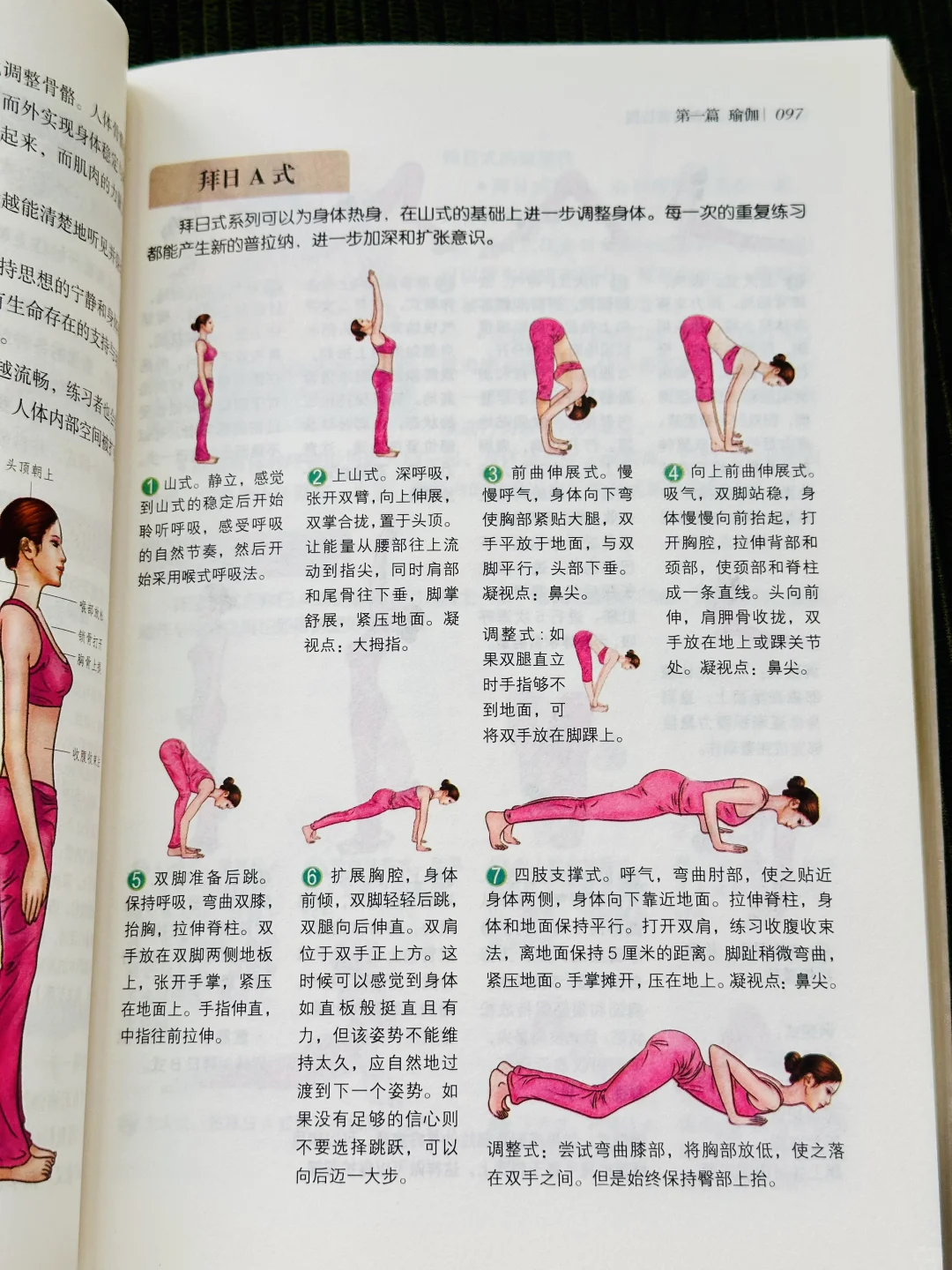 看完这书‼️恨不得找瑜伽老师退课了