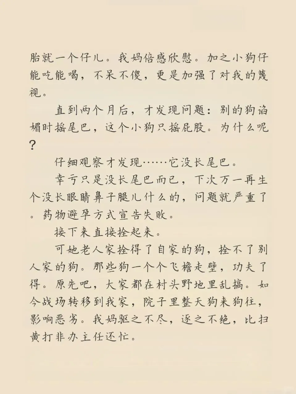 李娟真搞笑，她的精神状态领先我100年❗