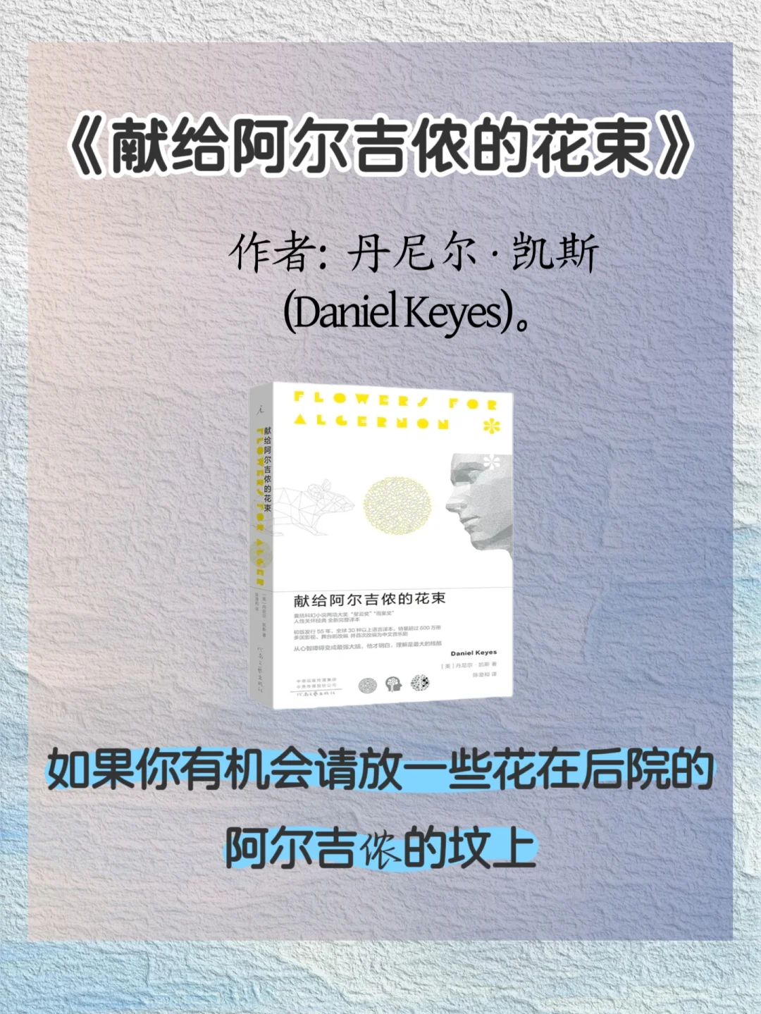 📚书单推荐|被窝治愈书单分享🌙