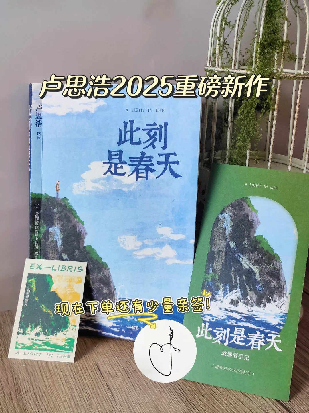 被卢思浩新书《此刻是春天》治愈了！