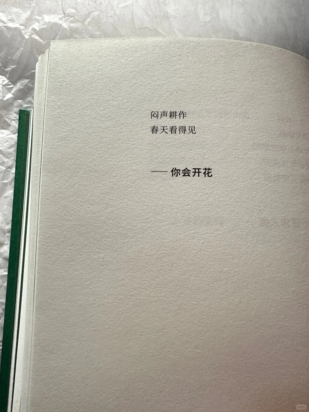 🌙睡前翻开这本小书，文字如气泡酒般跳跃