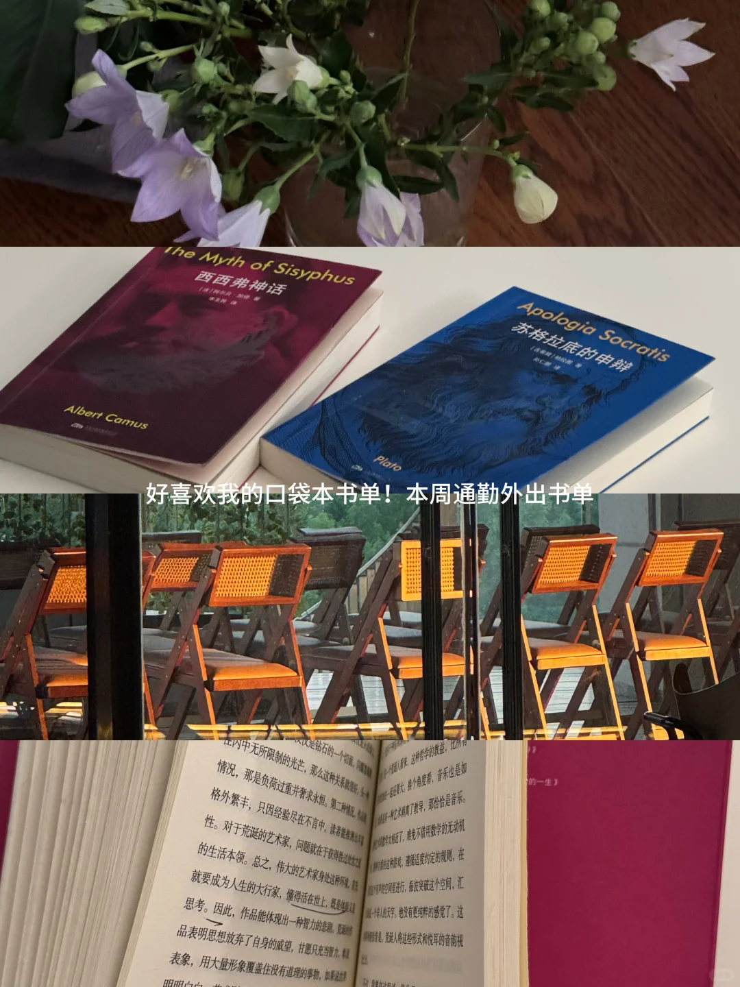 好喜欢我的口袋本书单！本周通勤外出书单