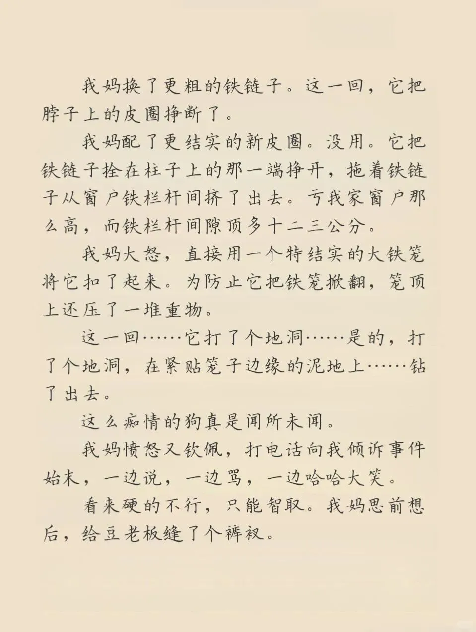 李娟真搞笑，她的精神状态领先我100年❗
