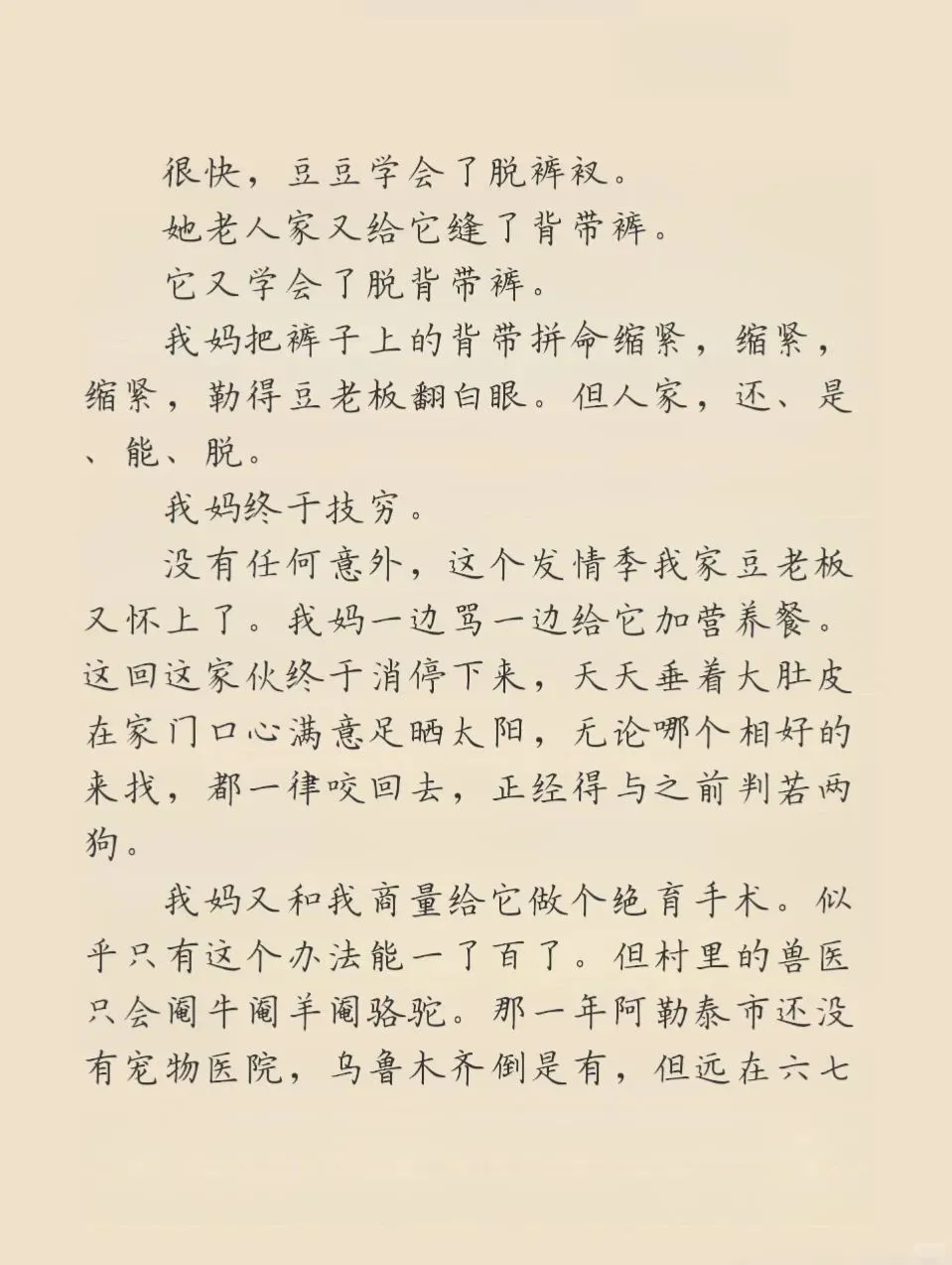李娟真搞笑，她的精神状态领先我100年❗