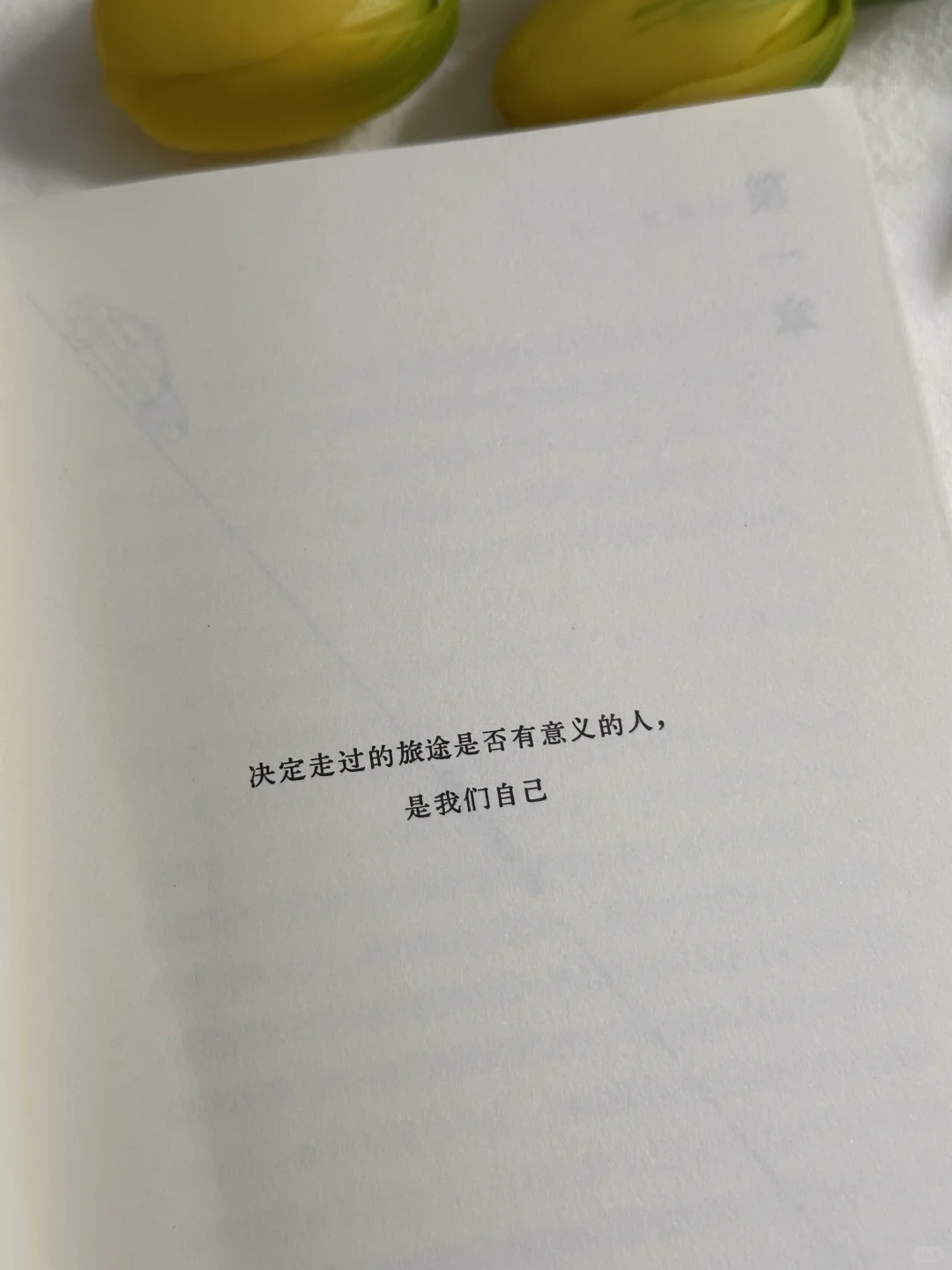 2025年，卢思浩终于出新书了！！