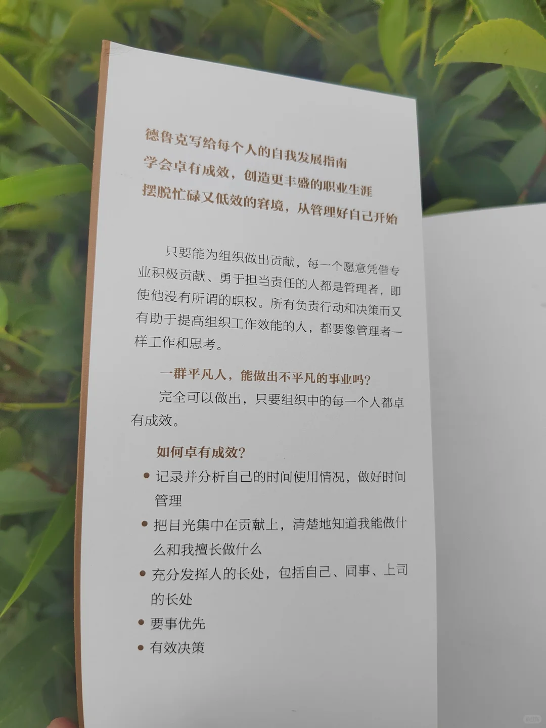 后悔没有早点读《卓有成效的管理者》