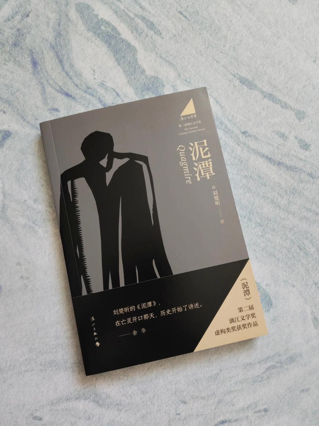 漓江文学奖获奖作品，作家12年打造精品，推