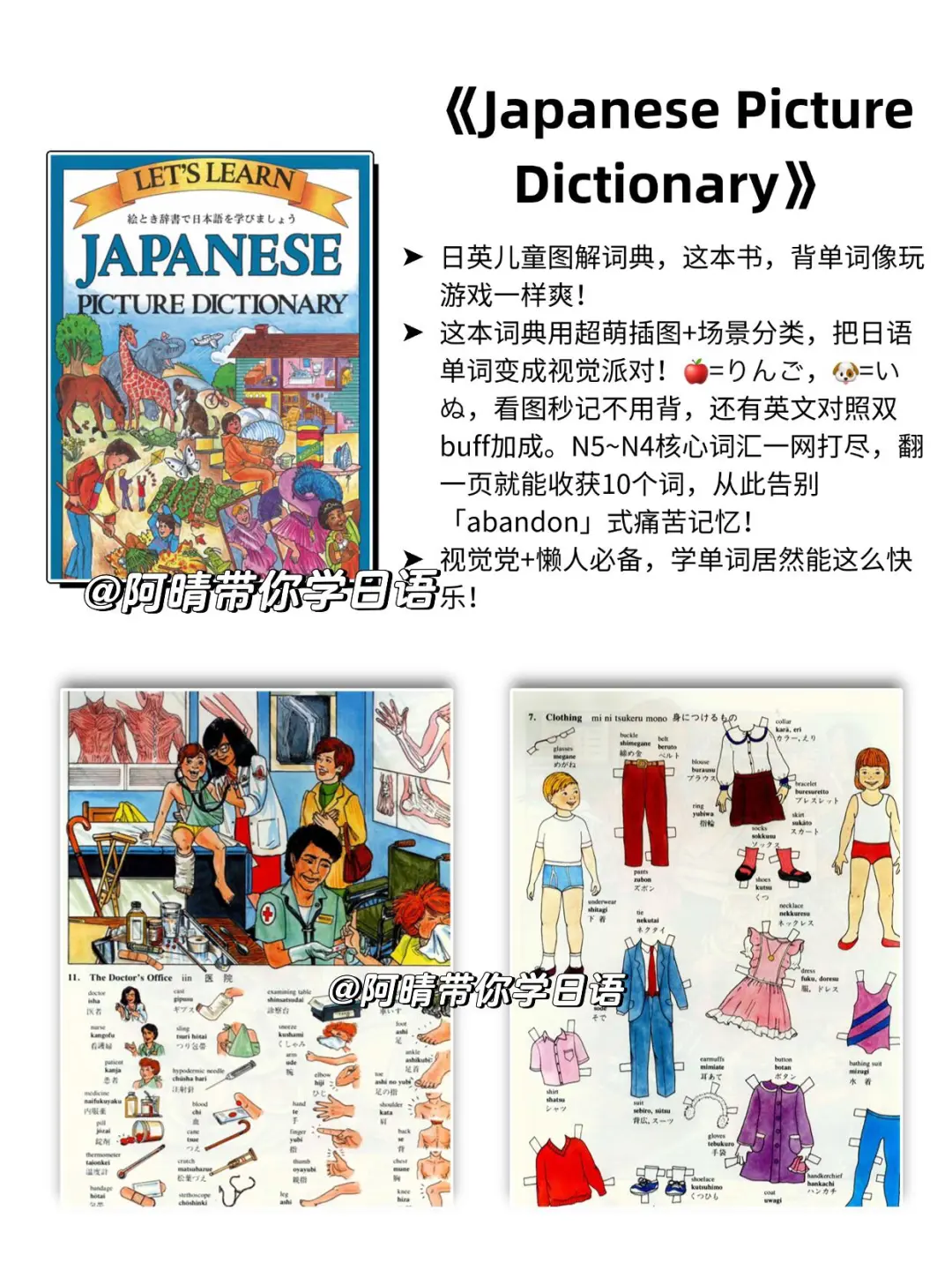 每日 日语词汇书推荐《日英双语图解词典》
