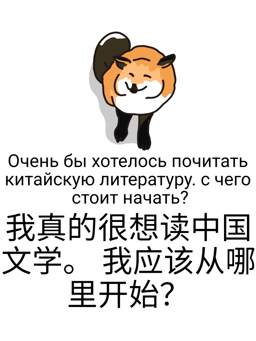 你最喜欢的书是什么？