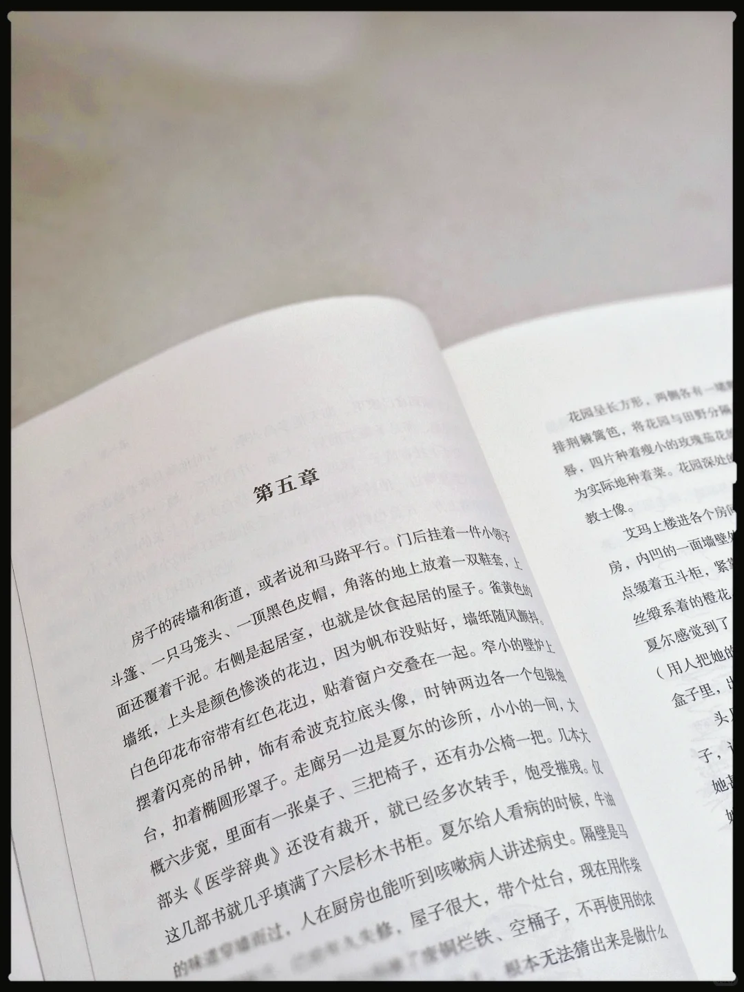 📖 爱情幻想破灭实录？