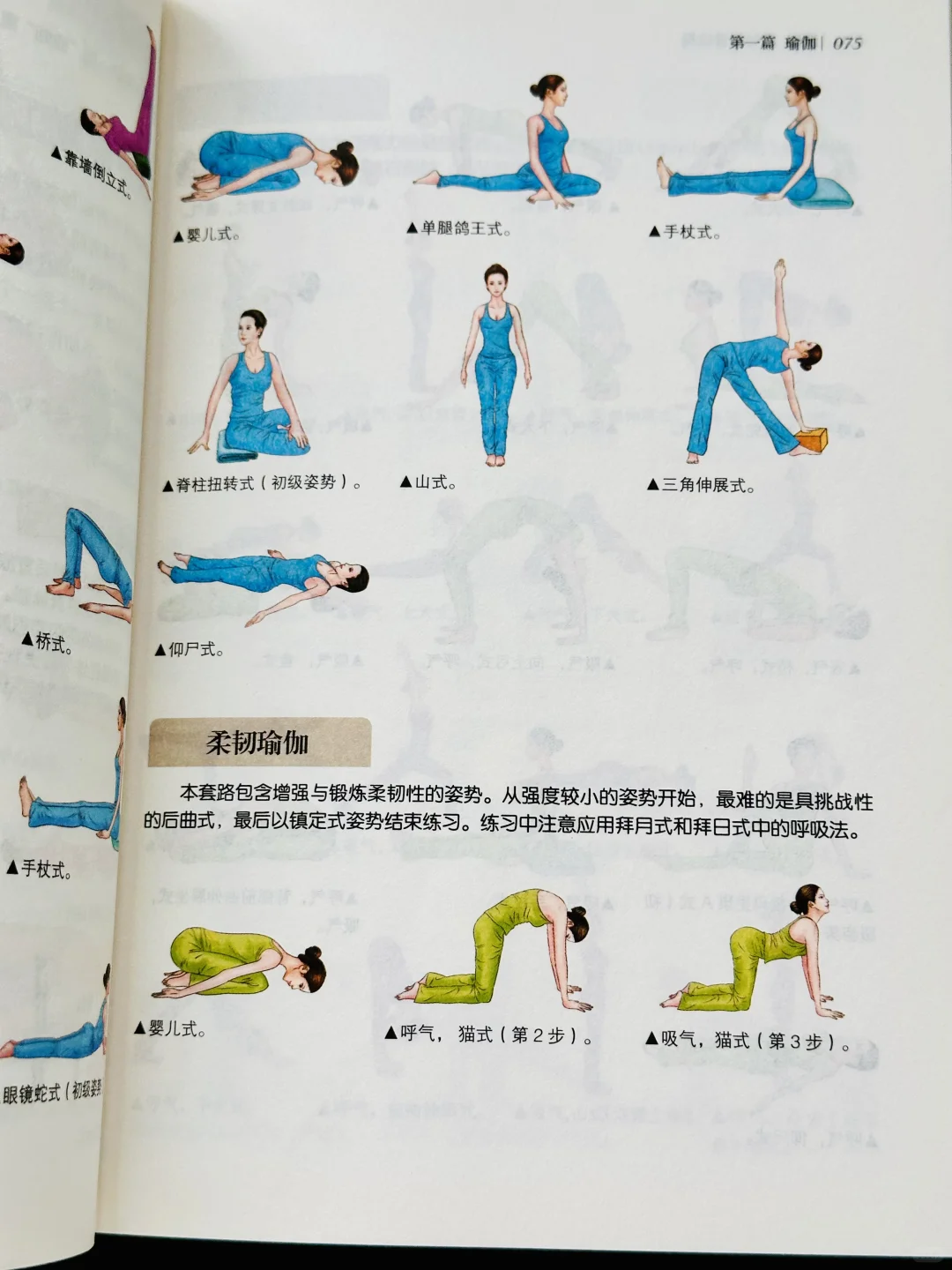 看完这书‼️恨不得找瑜伽老师退课了
