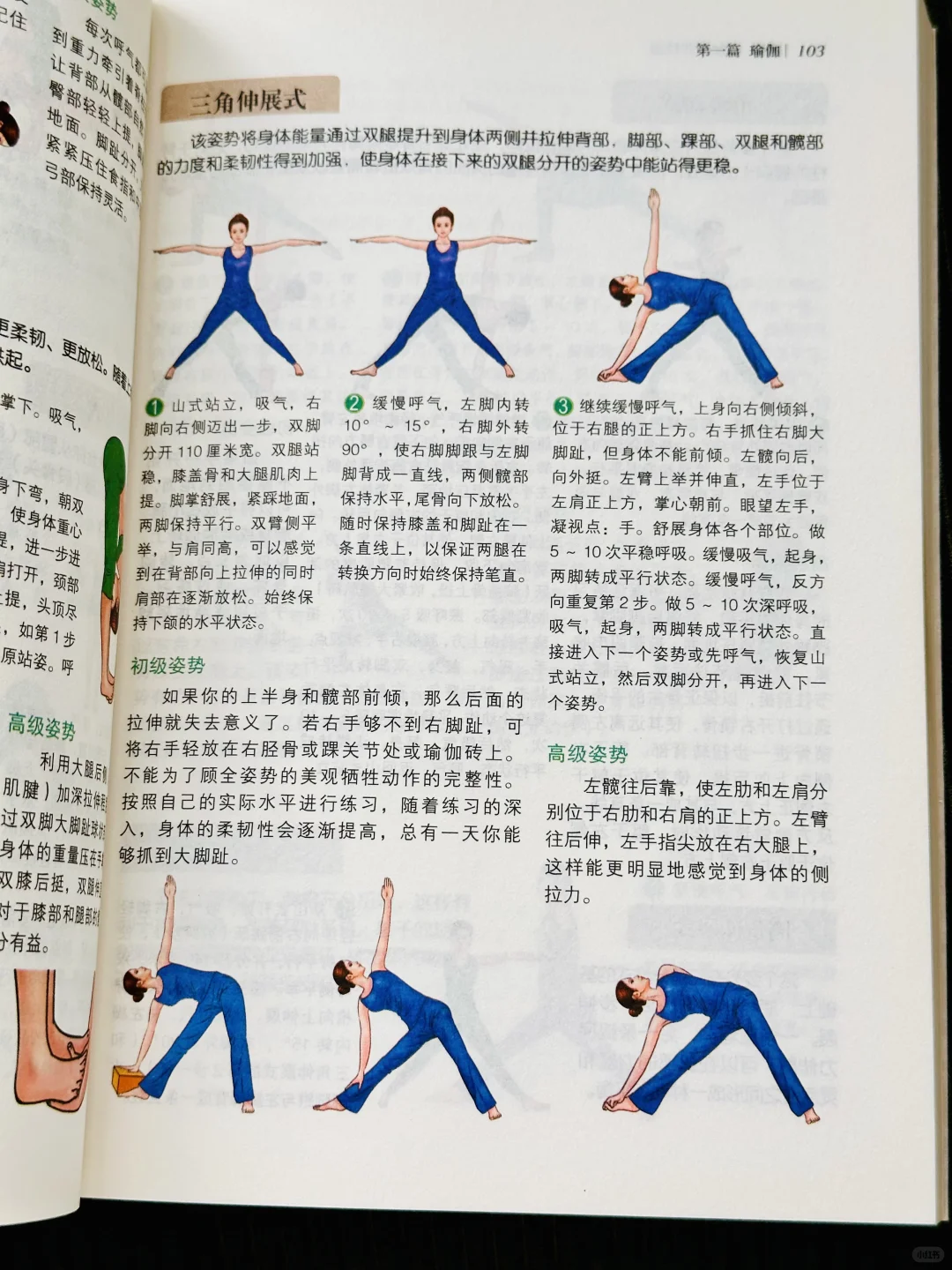 看完这书‼️恨不得找瑜伽老师退课了