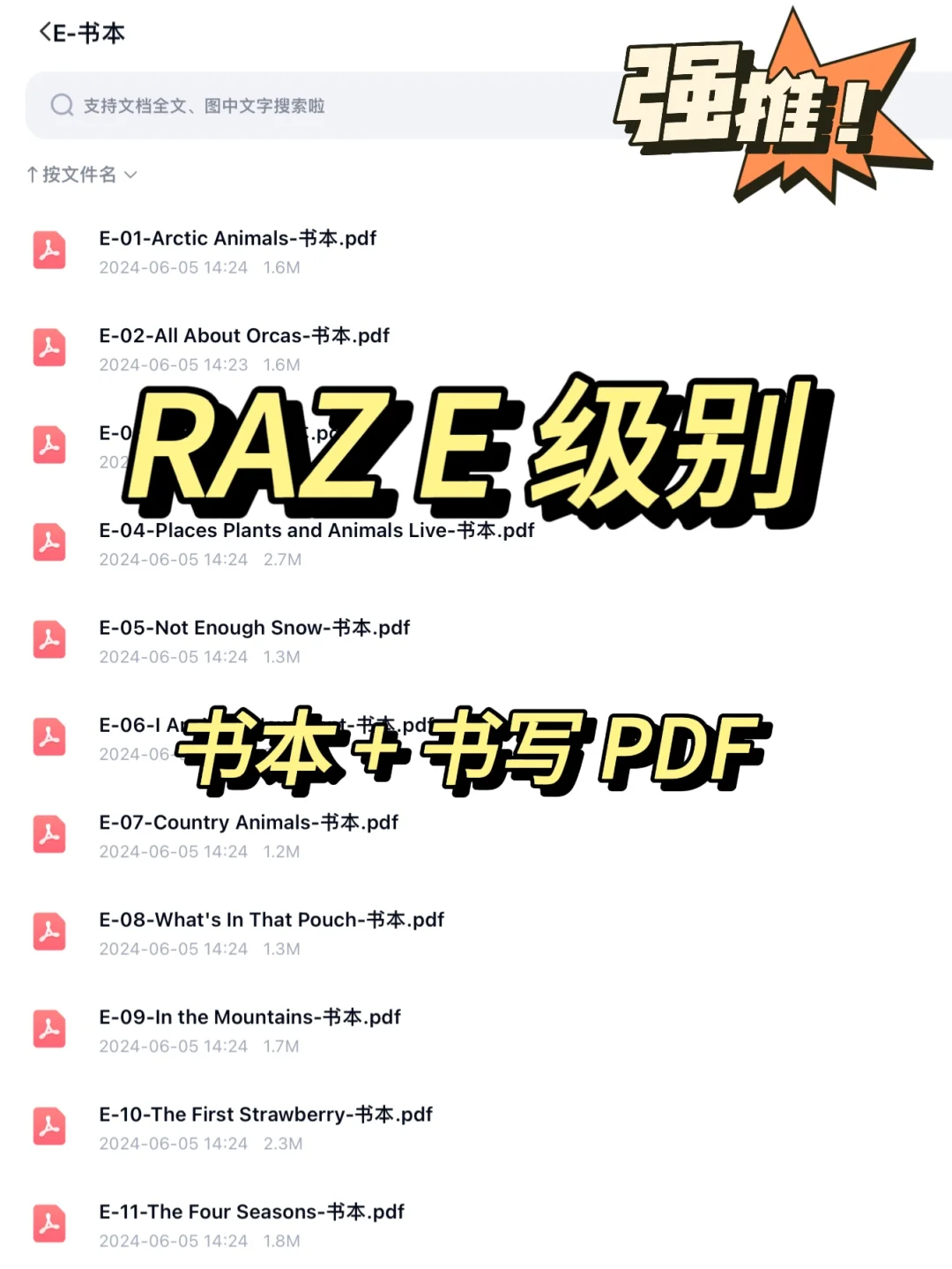 RAZ 分级阅读（E级别书本和书写PDF）