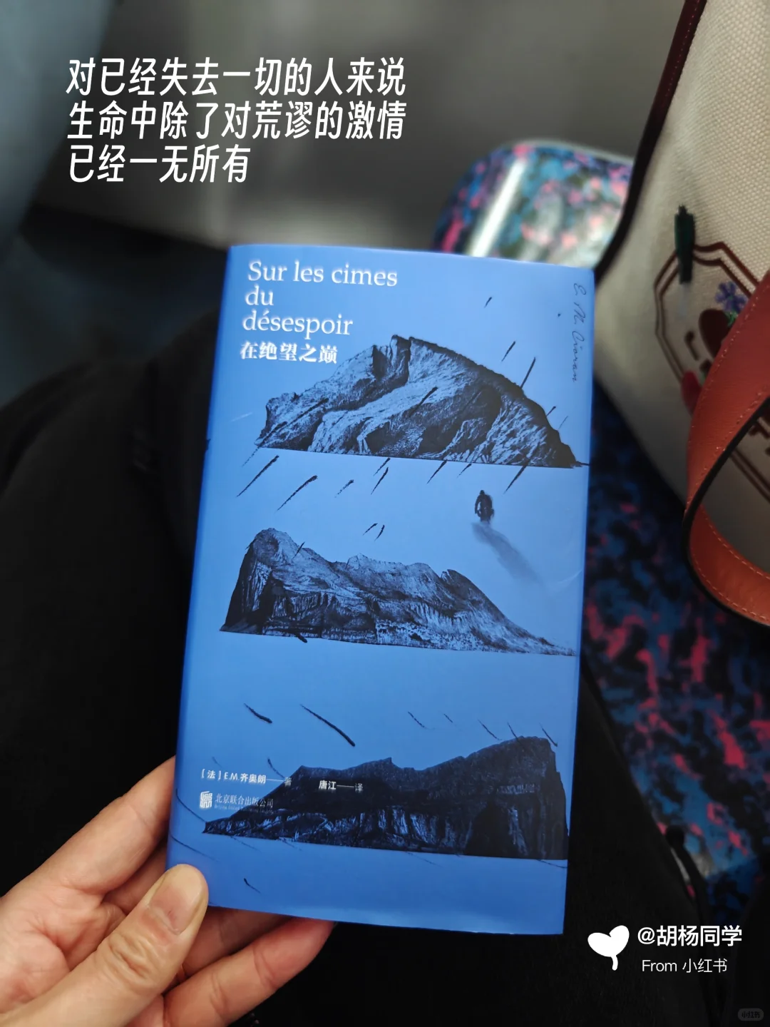 打工人通勤书单|当我在路上不停读书2~