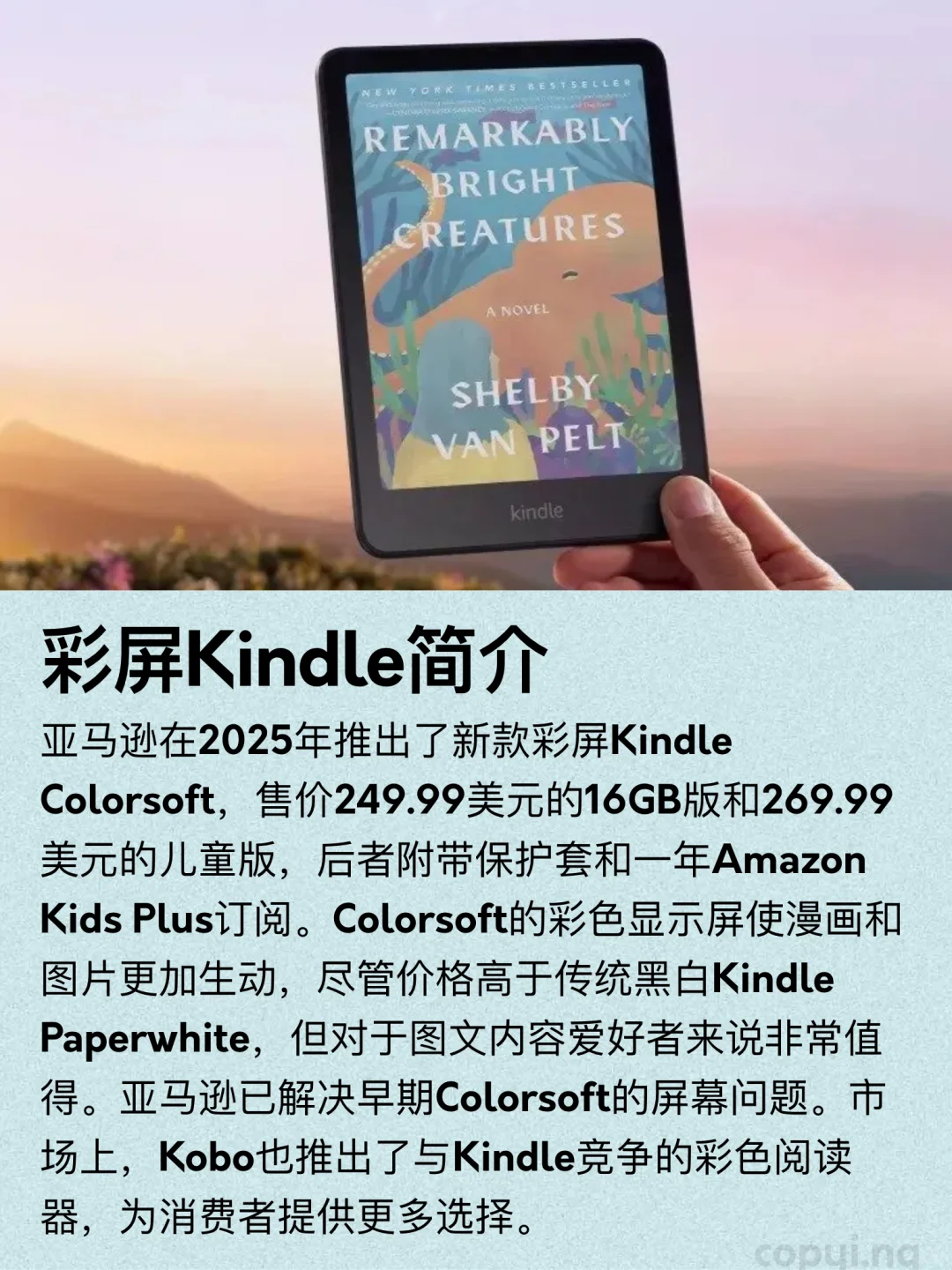 亚马逊新推出两款彩色Kindle
