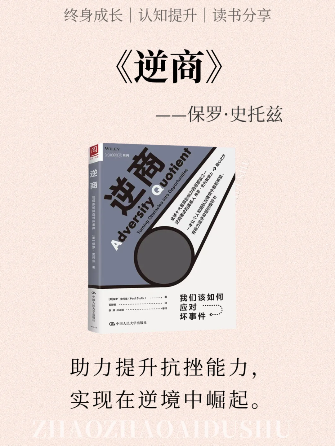 《Deepseek推荐》2025必读12本书一定要读