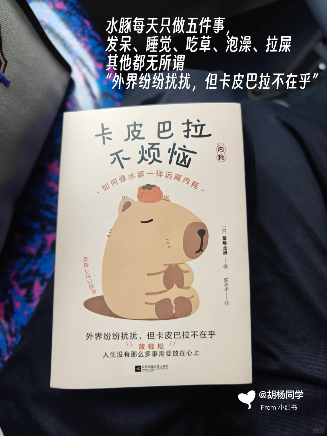 打工人通勤书单|当我在路上不停读书2~