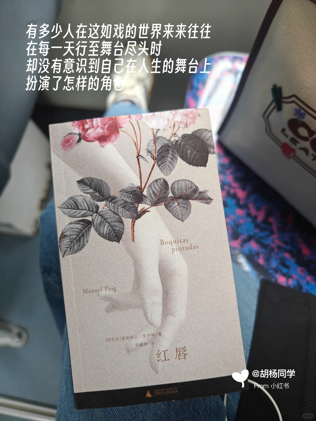 打工人通勤书单|当我在路上不停读书2~