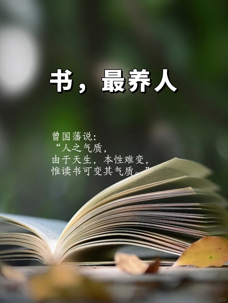 到了一定年纪才发现：书，最养人