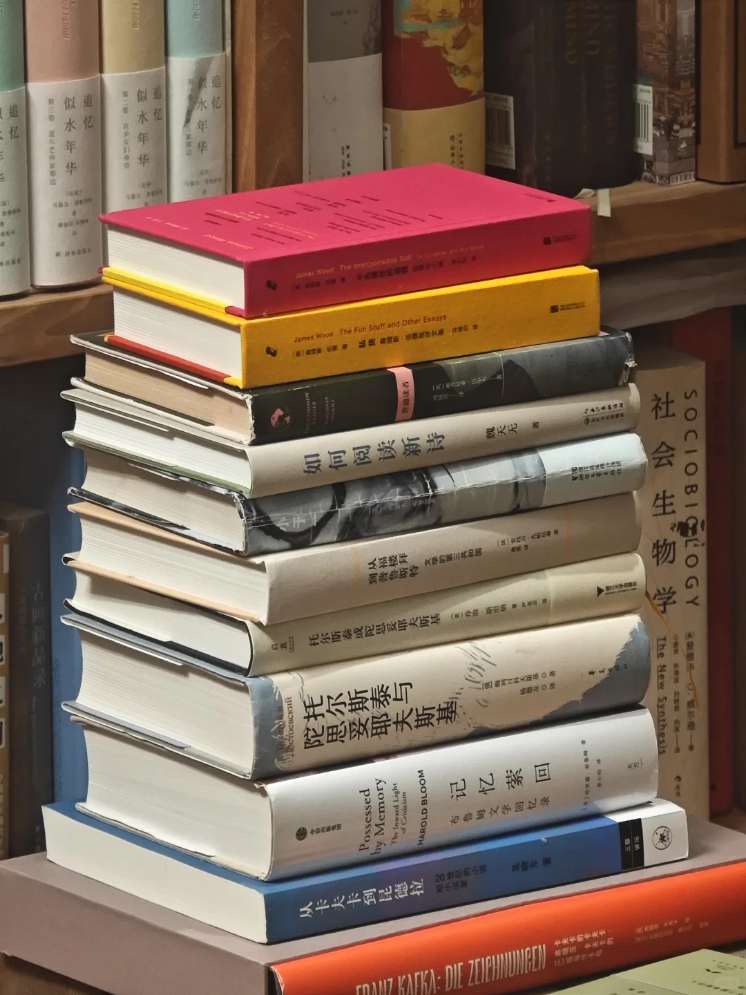 重装文学系统的九本书