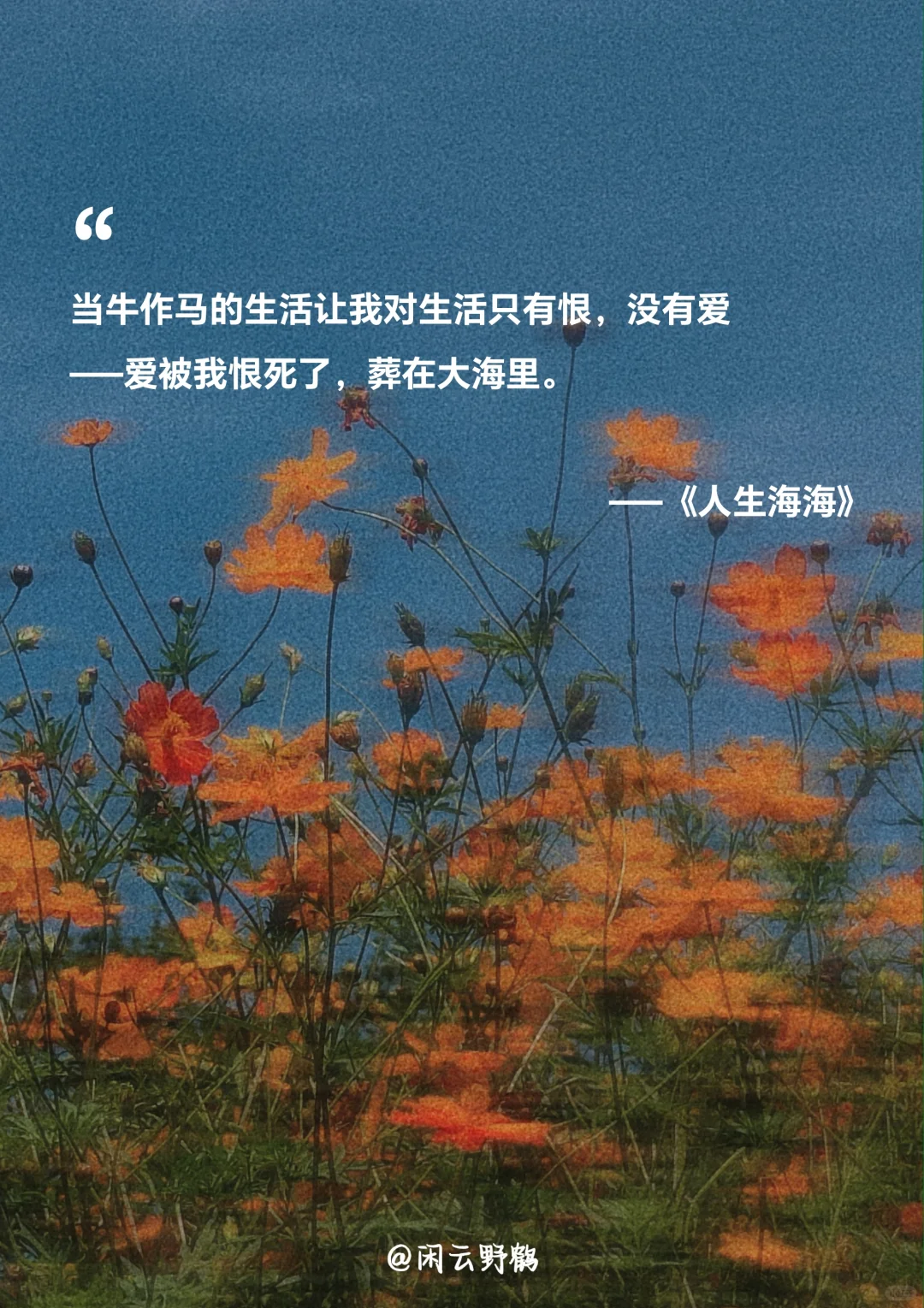📖“人生海海，山山而川，不过尔尔”