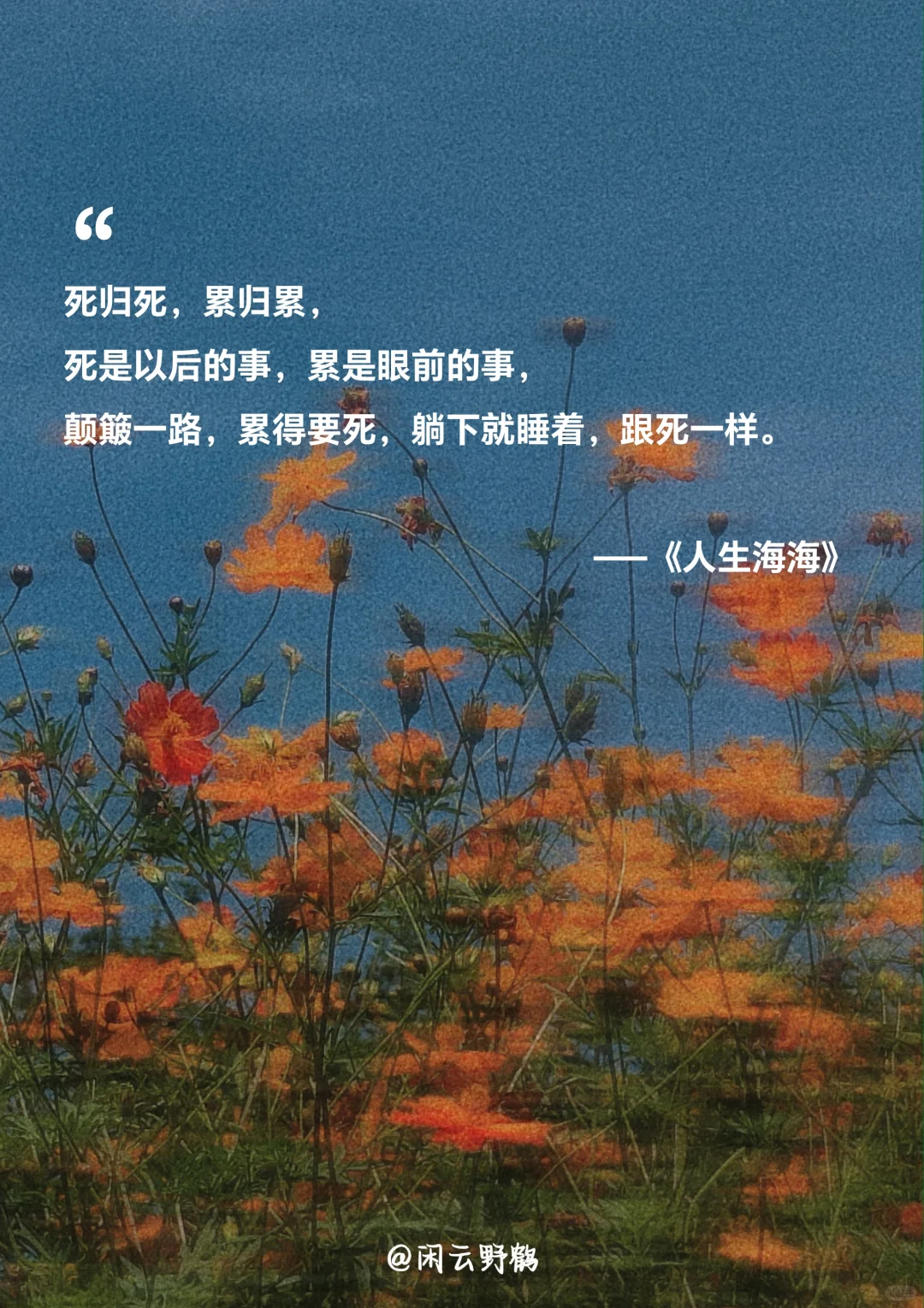 📖“人生海海，山山而川，不过尔尔”