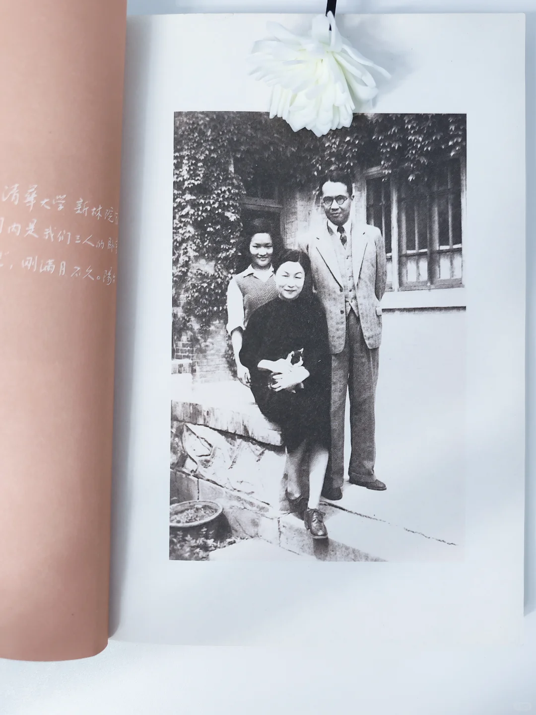💔哭着读完《我们仨》！这才是家的意义！