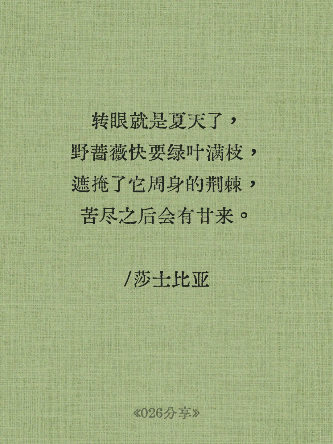 📒那些穷极一生也写不出的顶级文笔