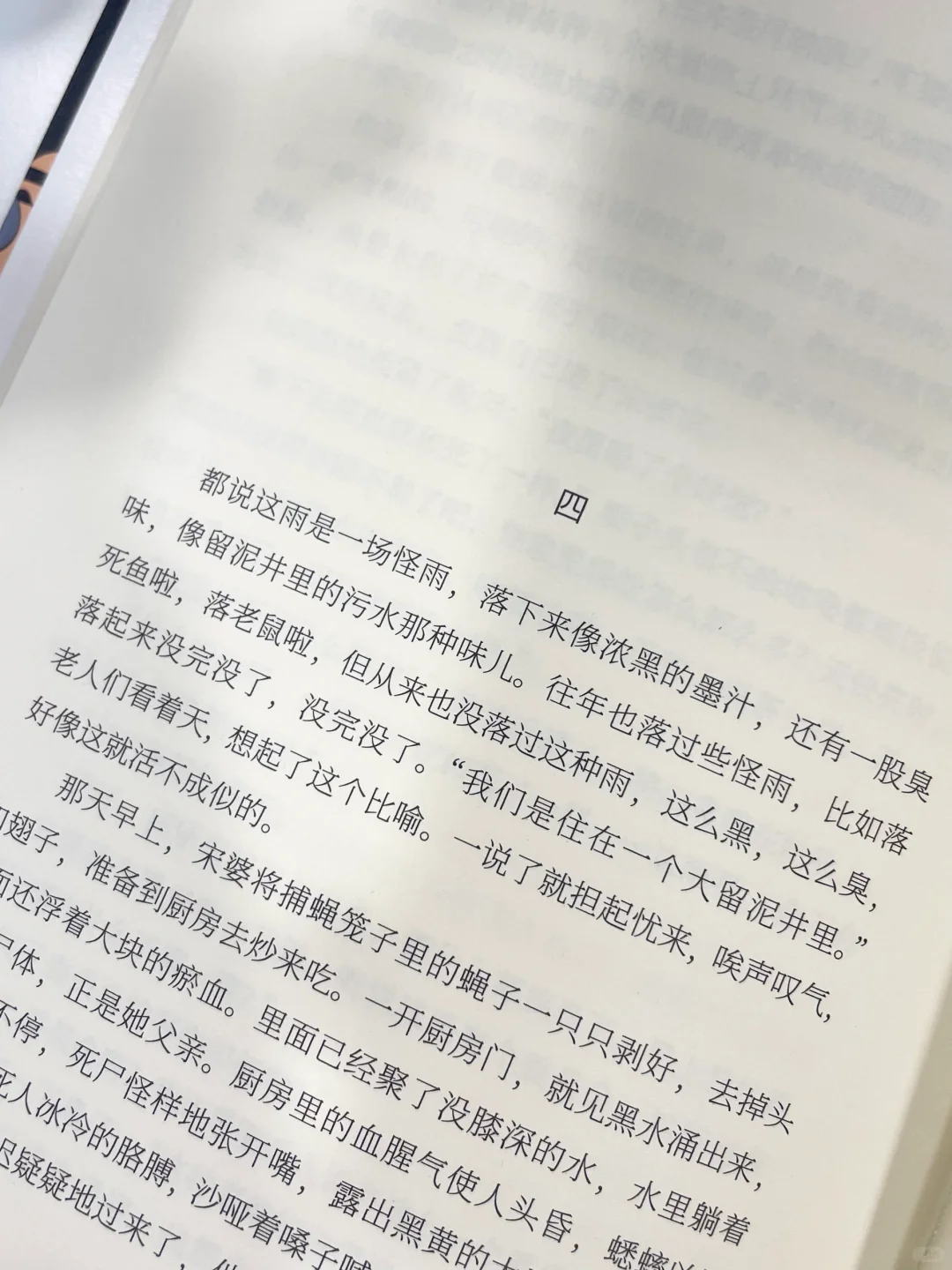 聊聊诺奖｜我和莫言都希望她获奖！