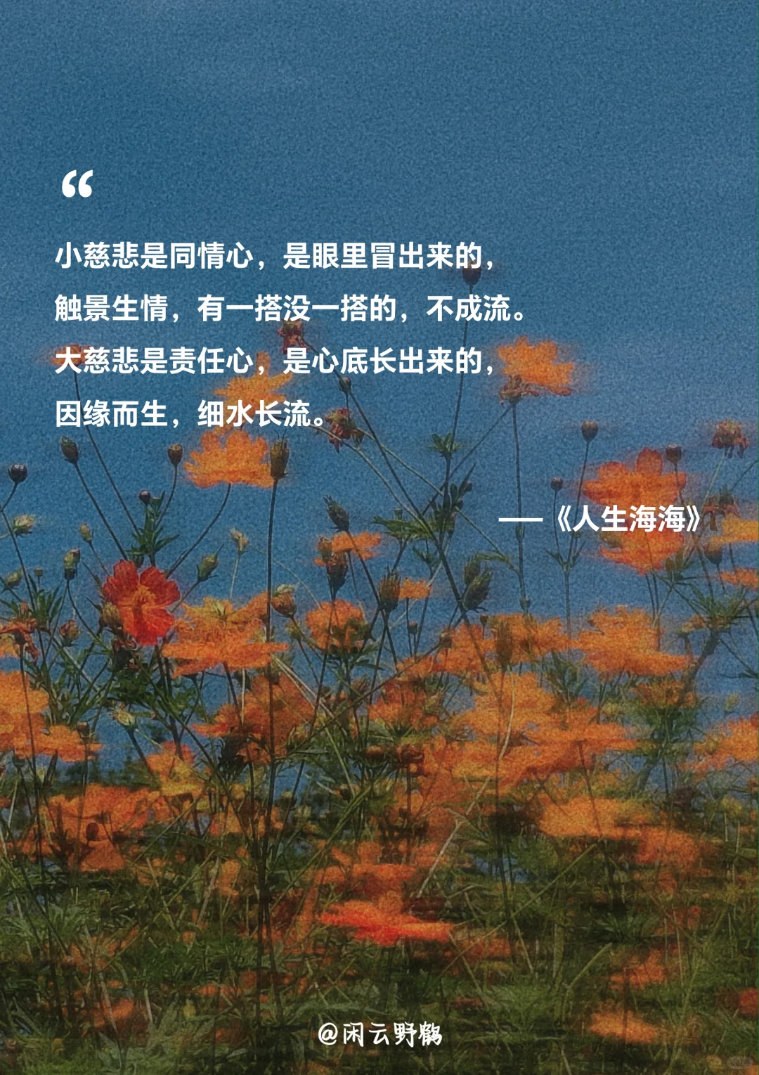📖“人生海海，山山而川，不过尔尔”