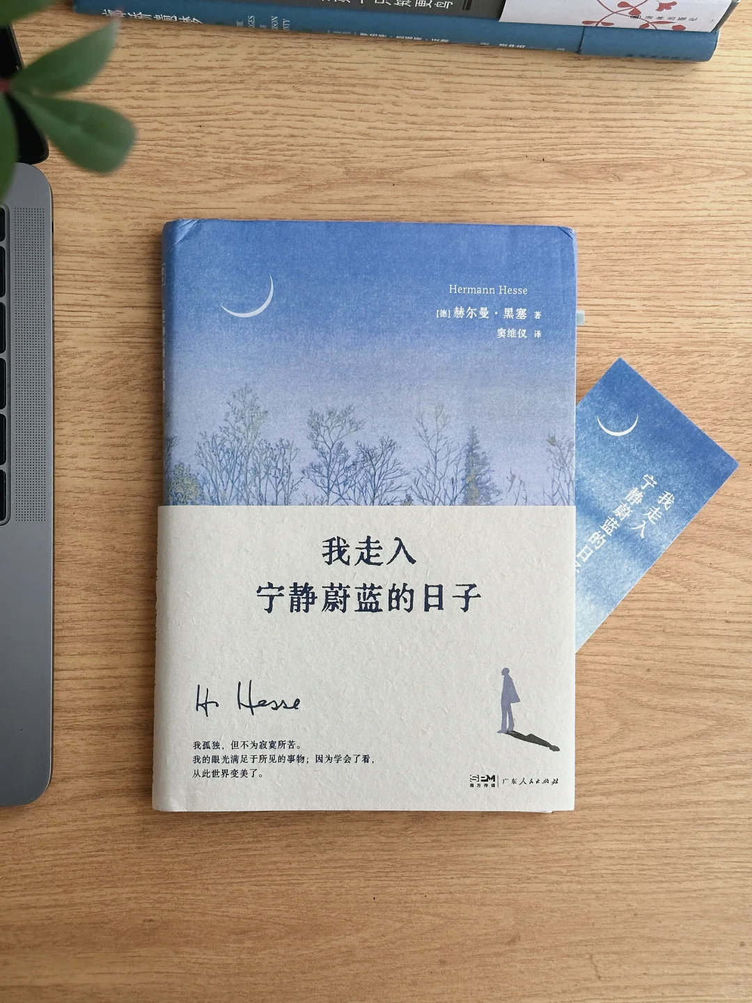 “我们仍享受着阳光的热情。”