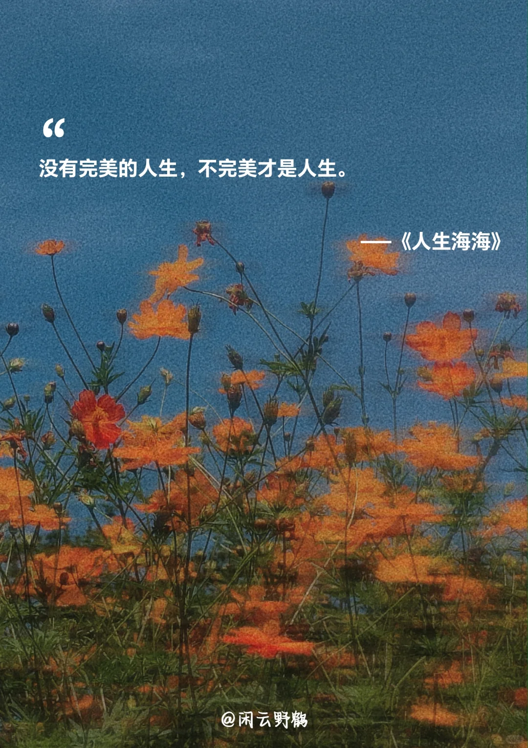 📖“人生海海，山山而川，不过尔尔”