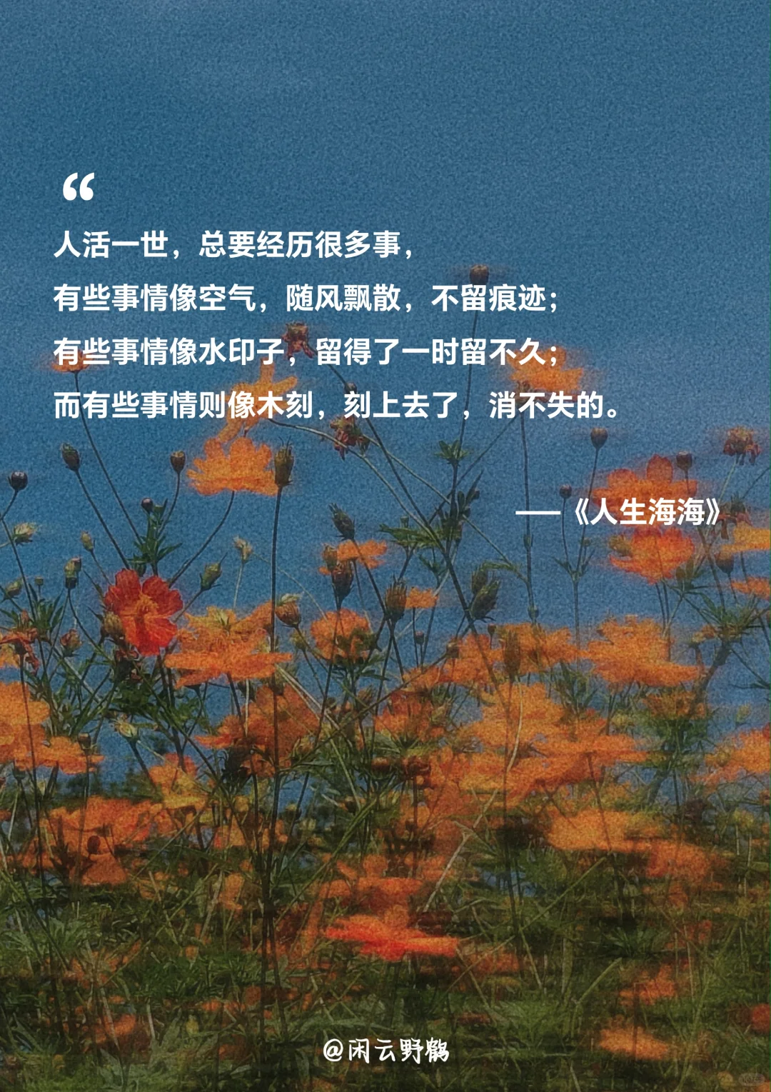 📖“人生海海，山山而川，不过尔尔”
