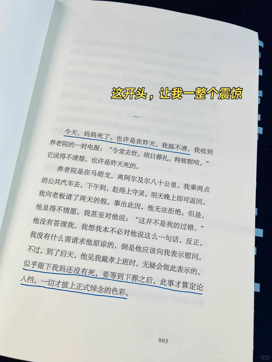 豆瓣9.5🔑看过最好的小说，震撼得双手颤抖❕