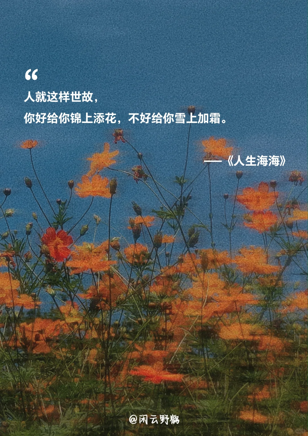 📖“人生海海，山山而川，不过尔尔”