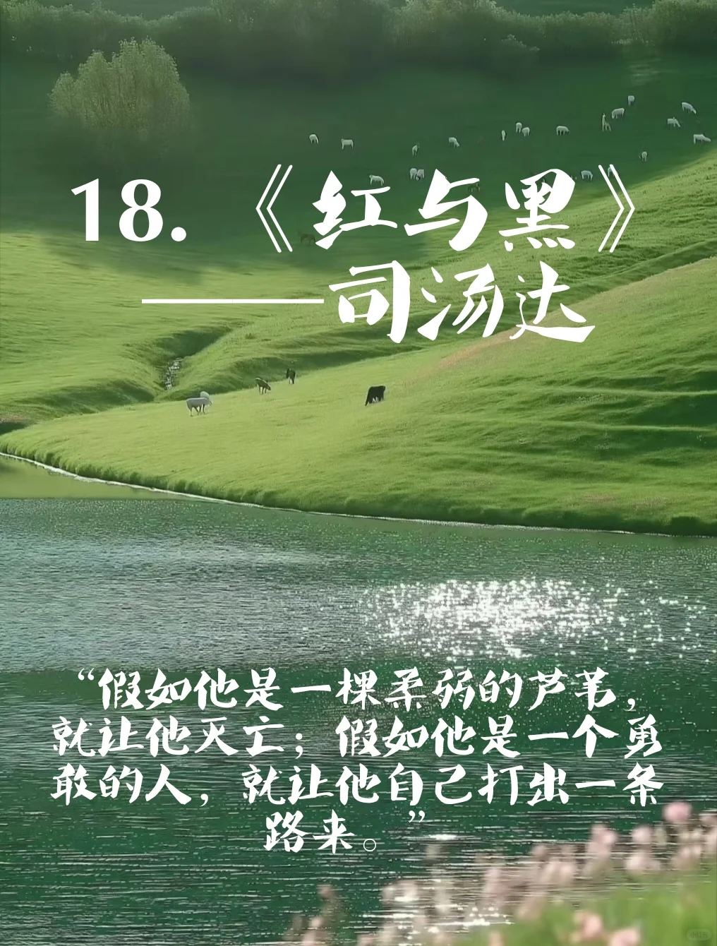 千万不要错过的书单！经典语录让你彻透！