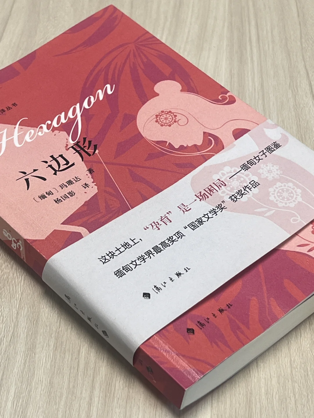 缅甸最高文学奖《六边形》照见女性生育困局