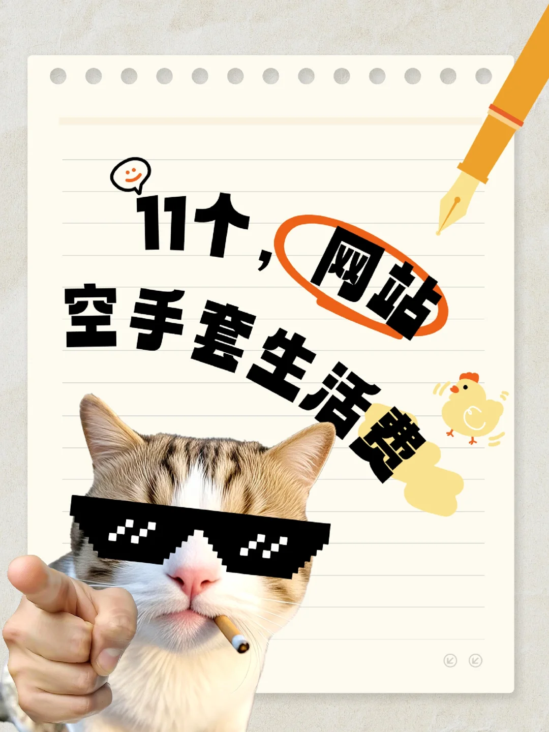 11个网站，👍👍👍