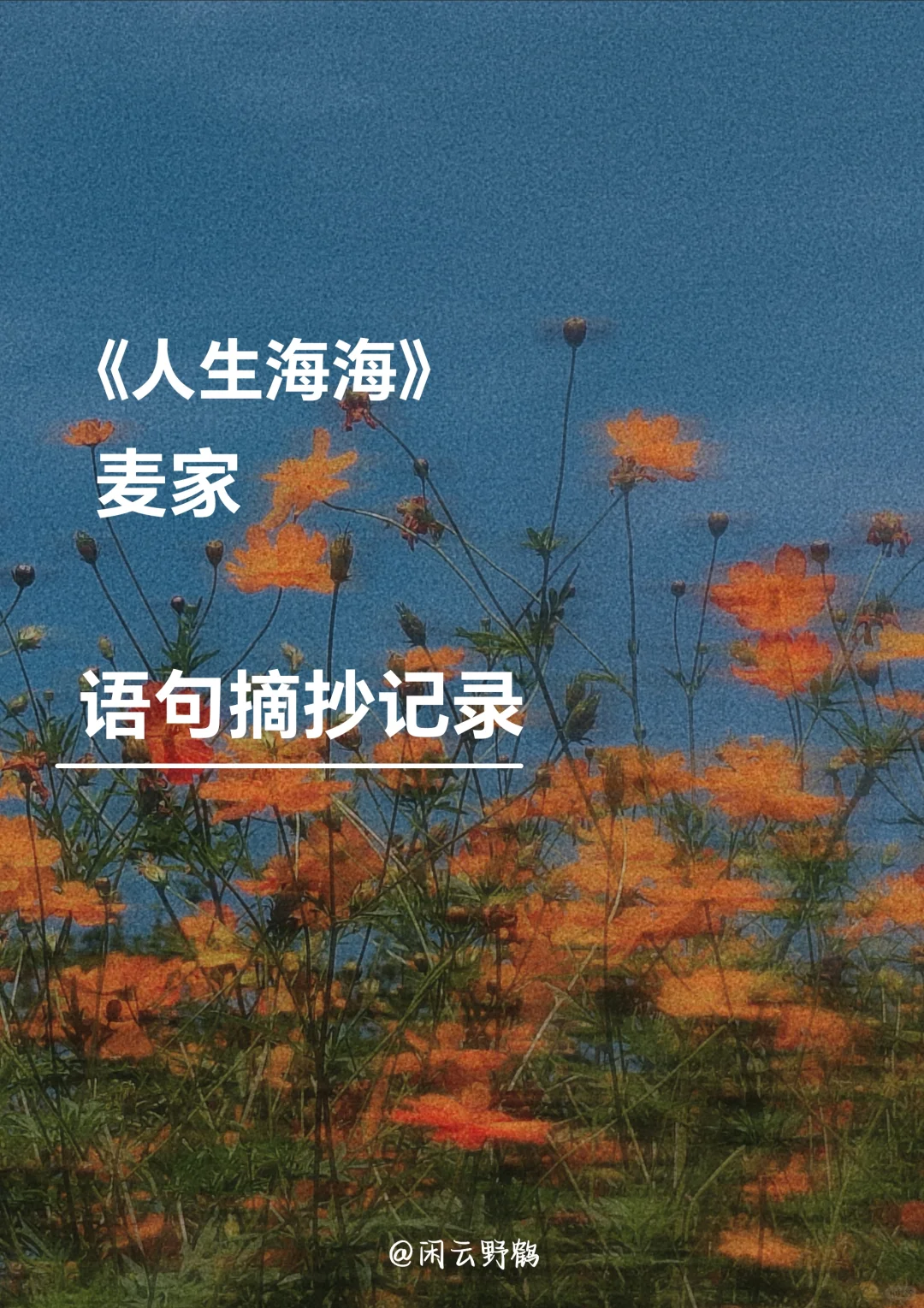 📖“人生海海，山山而川，不过尔尔”