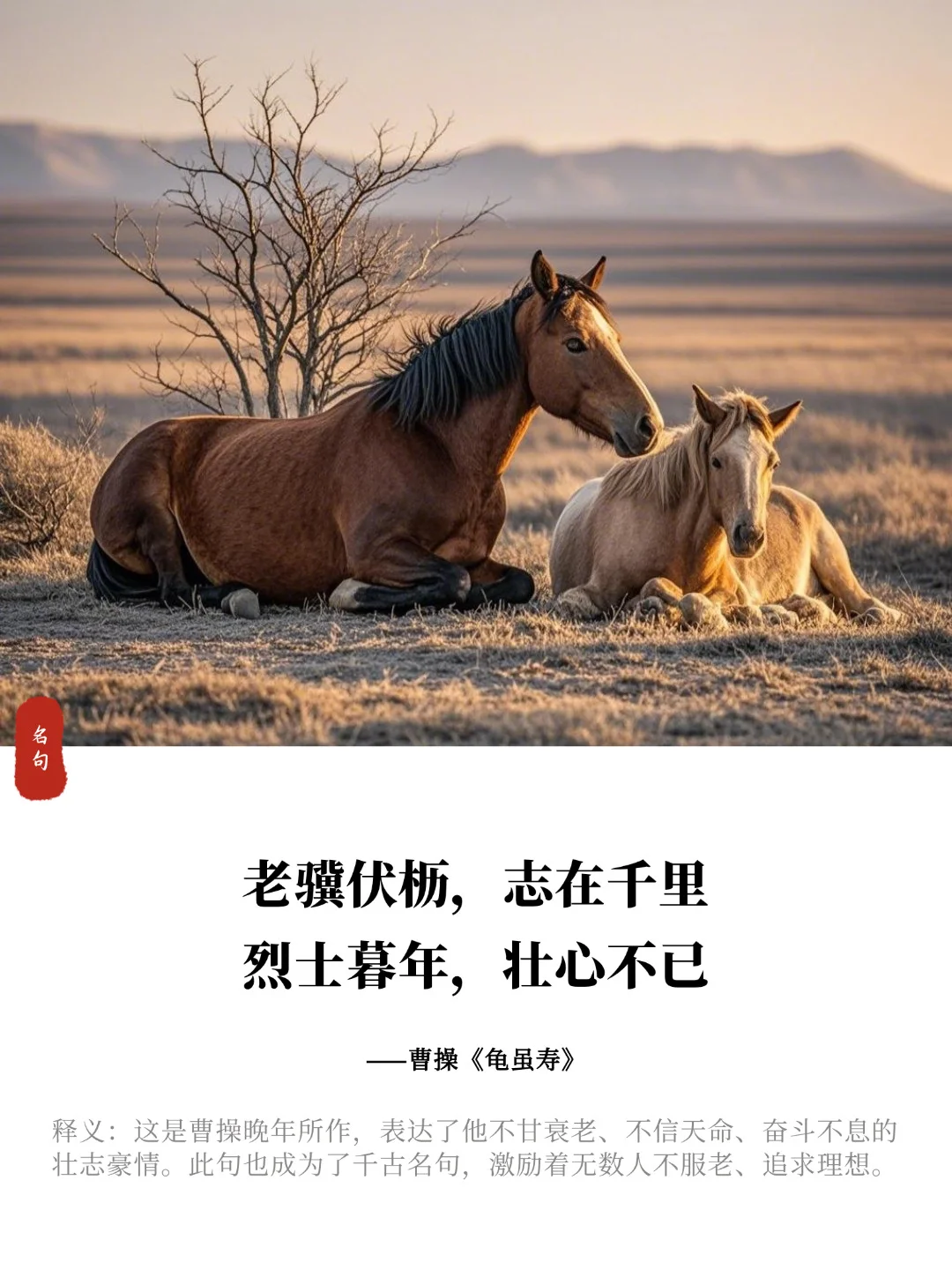 曹操，曹孟德最经典十首诗句