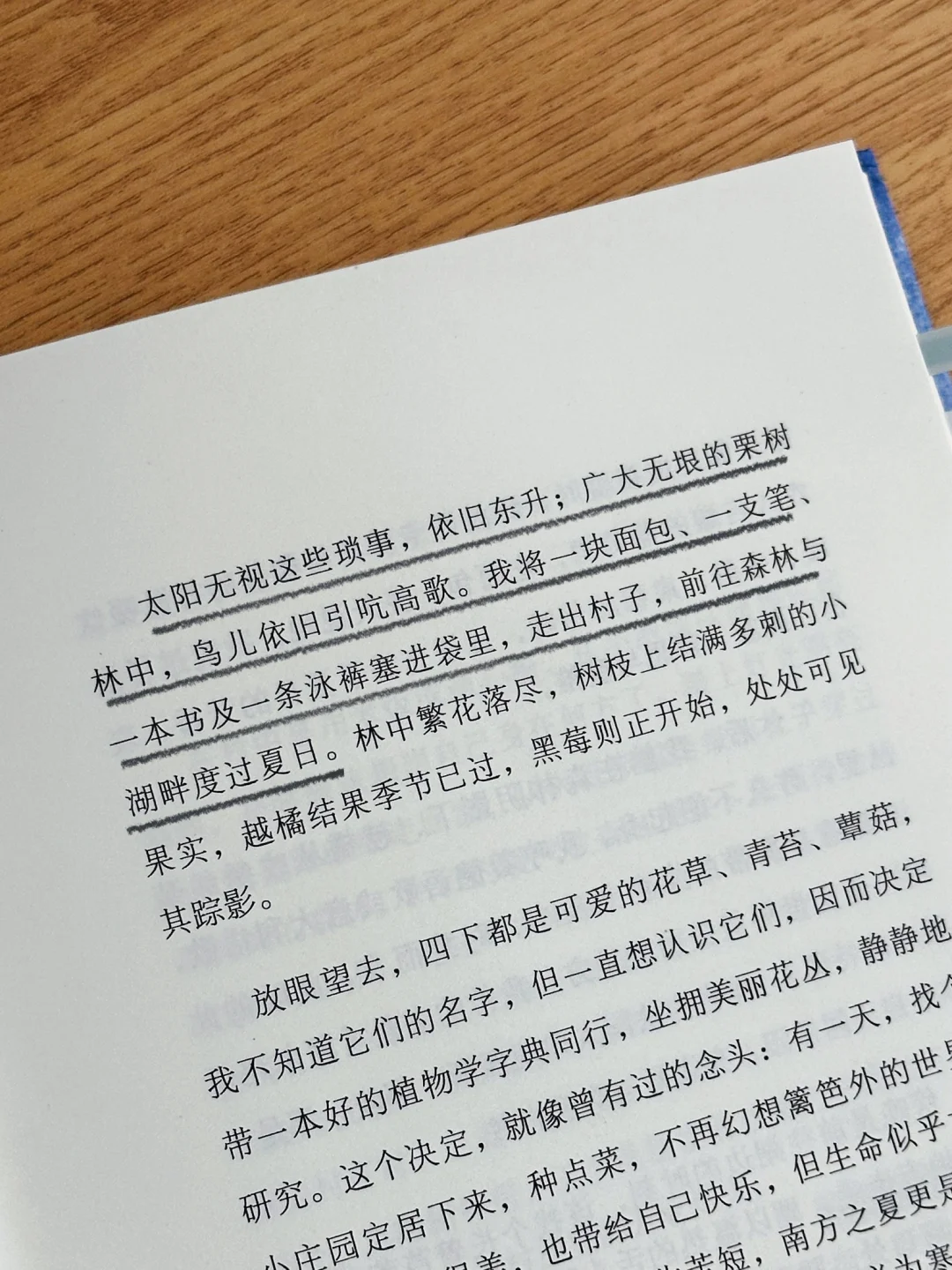 “我们仍享受着阳光的热情。”