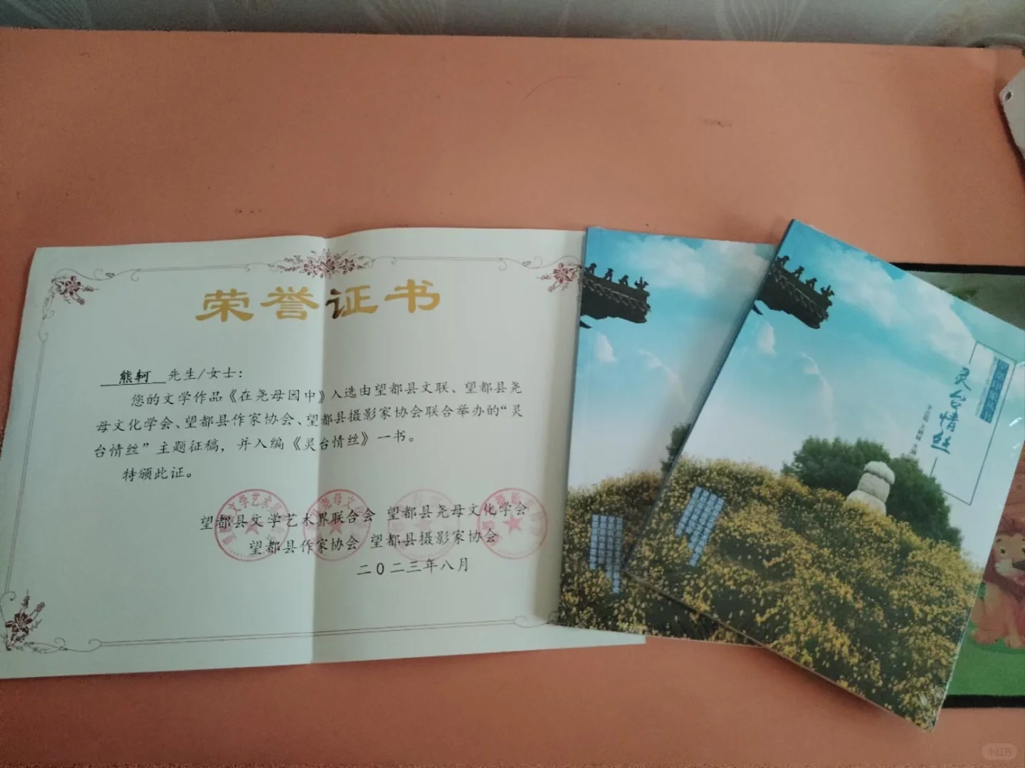 小白请进！从优秀奖到一等奖，你需要这样