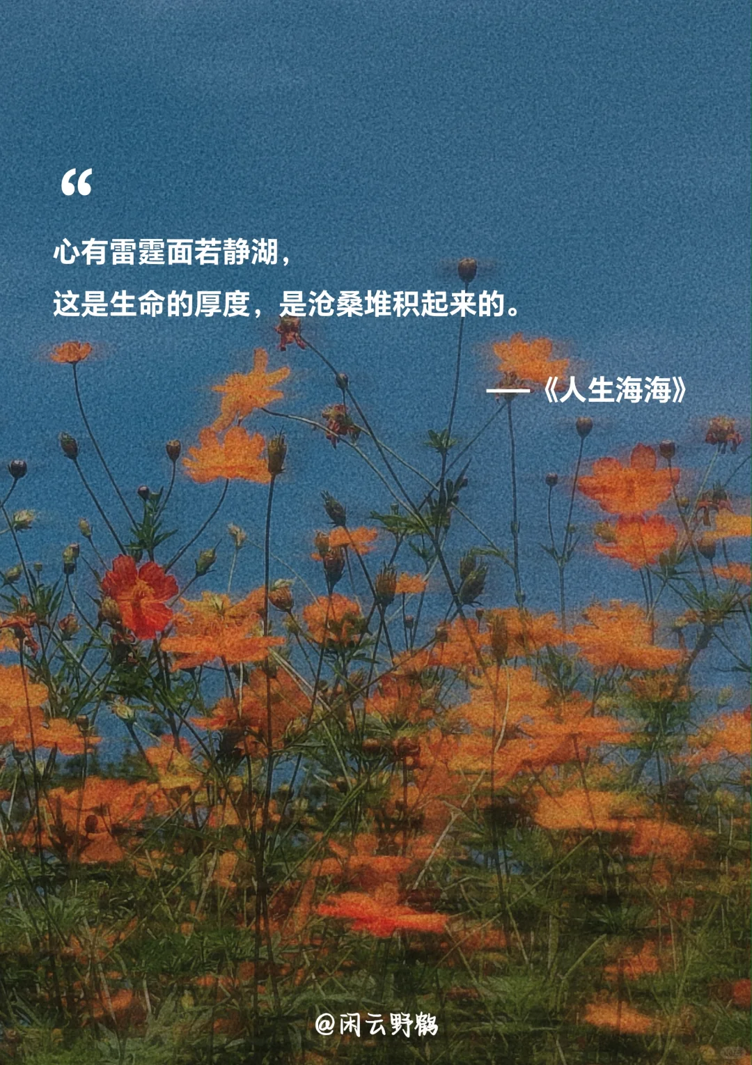 📖“人生海海，山山而川，不过尔尔”