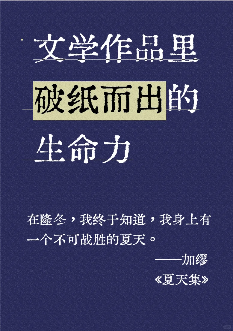 世界下沉时，用文字浇灌出坚韧茁壮的灵魂。