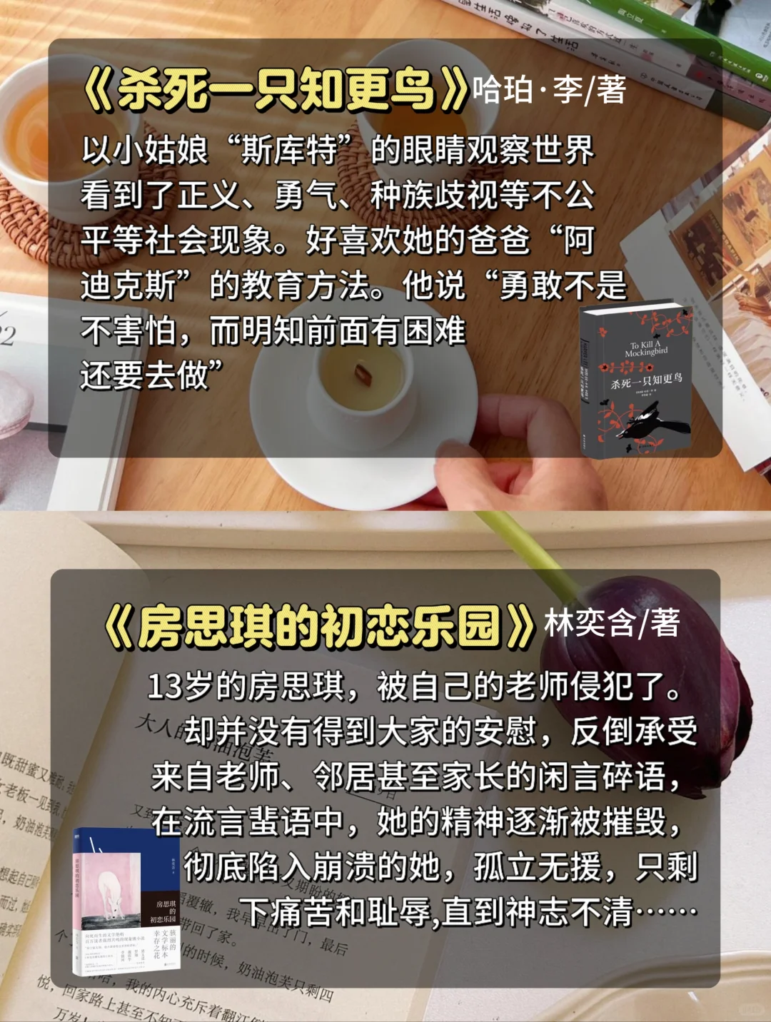 巨好看的小说‼️不允许有人不知道