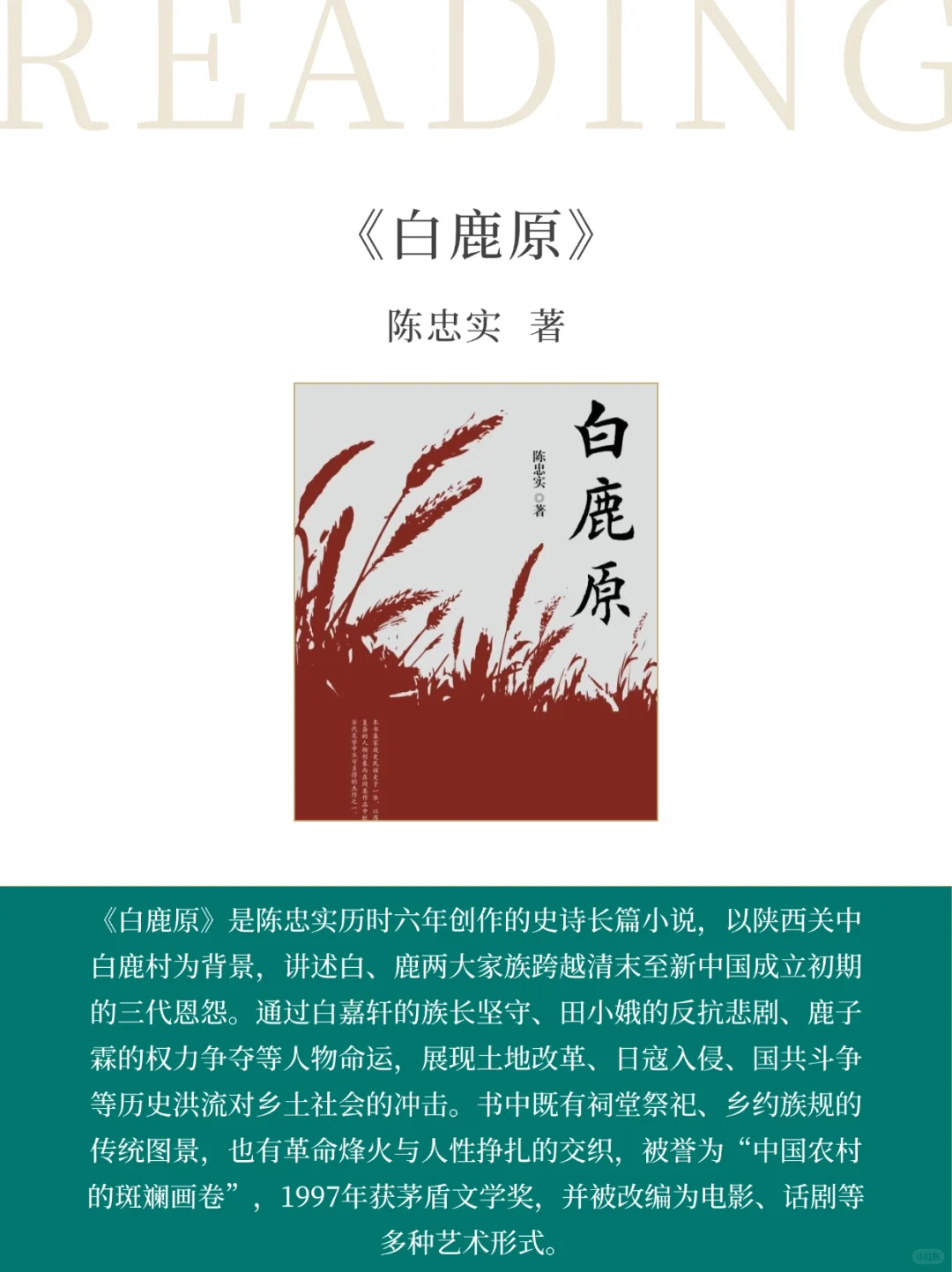 茅盾文学奖40年淬炼的6部神作，必读经典系列