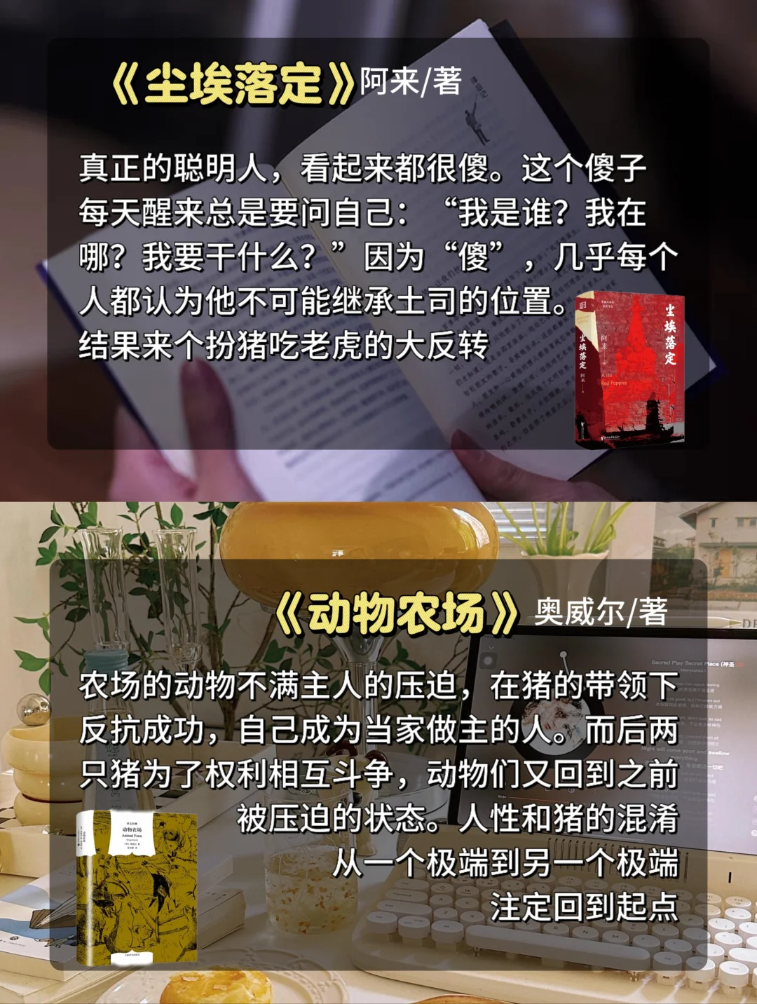 巨好看的小说‼️不允许有人不知道