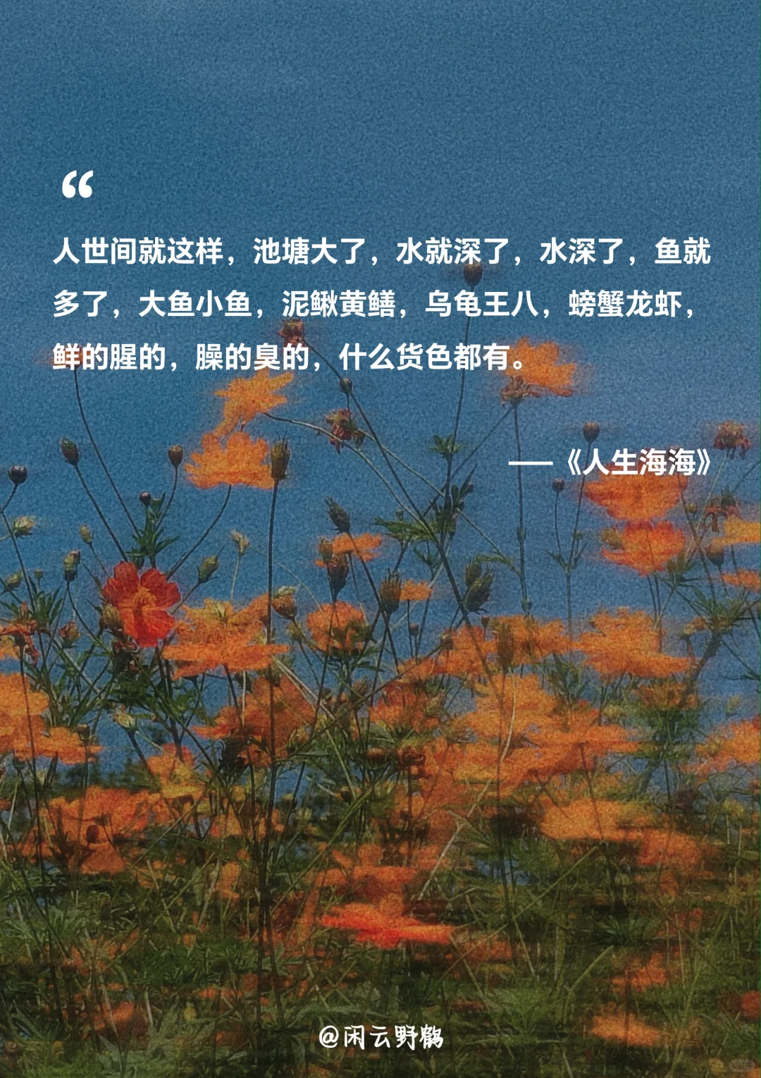 📖“人生海海，山山而川，不过尔尔”
