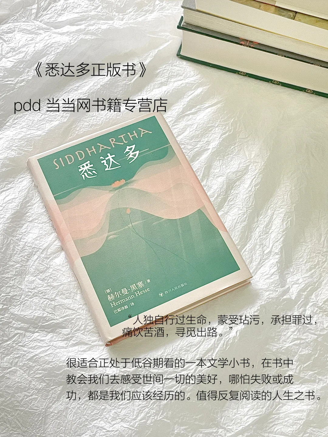 pdd书单｜几本比较喜欢的经典文学书