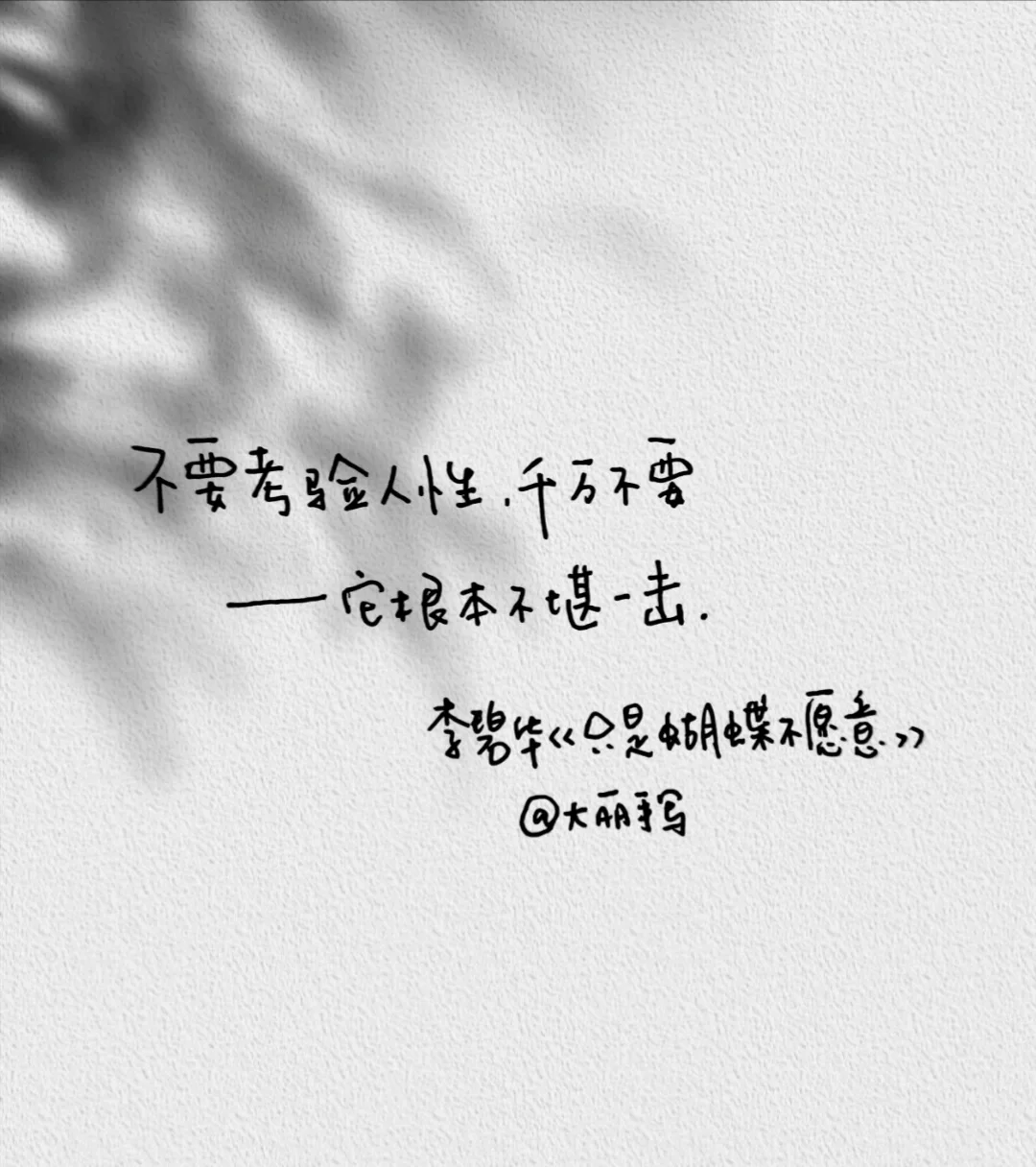 李碧华经典语录|手写摘抄
